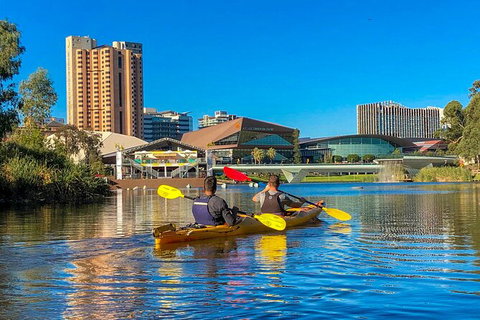 Adelaide City Kayak Tour - Tourism Hervey Bay 3