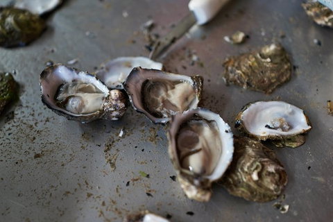 Fine Flavours - Full Day Kangaroo Island Food & Wine Tour - Hervey Bay Accommodation 10