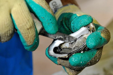 Fine Flavours - Full Day Kangaroo Island Food & Wine Tour - Hervey Bay Accommodation 8