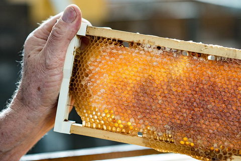 Fine Flavours - Full Day Kangaroo Island Food & Wine Tour - Hervey Bay Accommodation 0