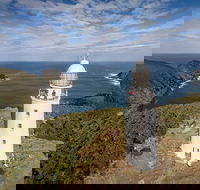 Bruny Island Day Tour Includes Lunch and Exclusive Lighthouse Tour - Hervey Bay Accommodation