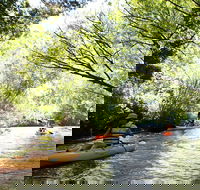 Paddle with the Platypus Twilight Kayak Adventure - Hervey Bay Accommodation