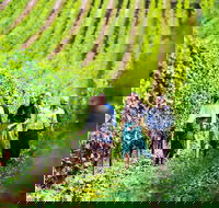 Tasmanian Wine Tour - Hervey Bay Accommodation