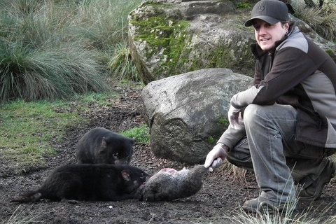 After Dark Tasmanian Devil Feeding Tour At Cradle Mountain - Tourism Hervey Bay 0