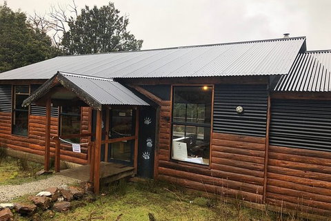 After Dark Tasmanian Devil Feeding Tour At Cradle Mountain - Tourism Hervey Bay 6