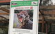 After Dark Tasmanian Devil Feeding Tour At Cradle Mountain - thumb 2