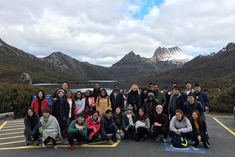 Shore Excursion - Cradle Mountain Day Tour From Burnie - Hervey Bay Accommodation 4