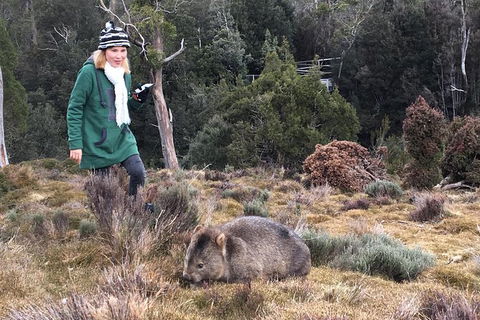 Shore Excursion - Cradle Mountain Day Tour From Burnie - Hervey Bay Accommodation 1