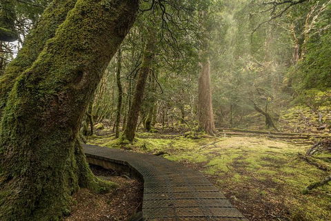 Shore Excursion - Cradle Mountain Day Tour From Burnie - Hervey Bay Accommodation 3