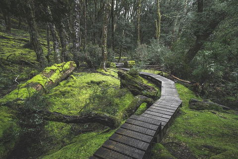 Shore Excursion - Cradle Mountain Day Tour From Burnie - Hervey Bay Accommodation 2