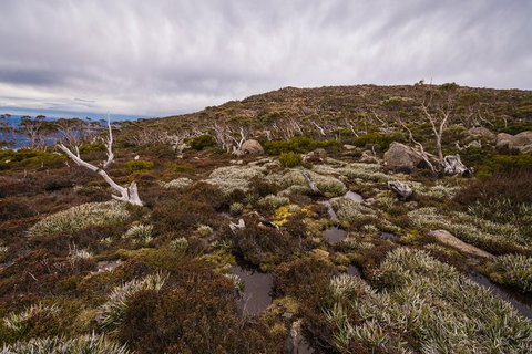 Alpine Loop - Tourism Hervey Bay 0