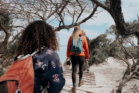 Freycinet Walking Tour - Hervey Bay Accommodation 6