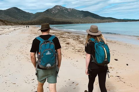 Freycinet Walking Tour - Hervey Bay Accommodation 7