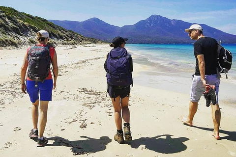 Freycinet Walking Tour - Hervey Bay Accommodation 1