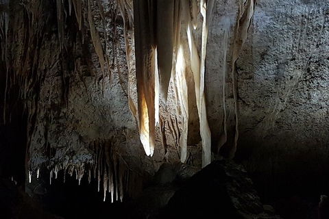 Shore Excursion: Coast, Caves And Wildlife Park - 8 Hour Tour - Hervey Bay Accommodation 10