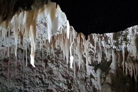 Shore Excursion: Coast, Caves And Wildlife Park - 8 Hour Tour - Hervey Bay Accommodation 21