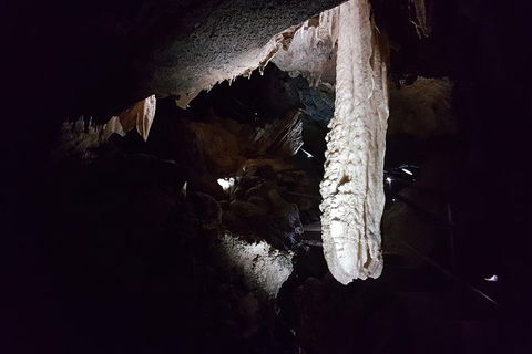 Shore Excursion: Coast, Caves And Wildlife Park - 8 Hour Tour - Hervey Bay Accommodation 12