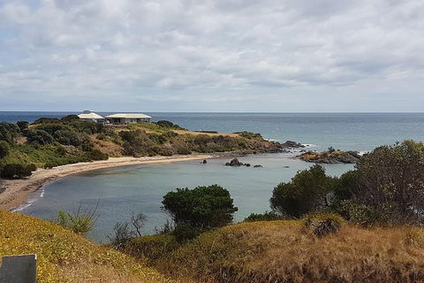 Shore Excursion: Coast, Caves And Wildlife Park - 8 Hour Tour - Hervey Bay Accommodation 0