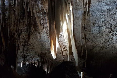 Shore Excursion: Coast, Caves And Wildlife Park - 8 Hour Tour - Hervey Bay Accommodation 7