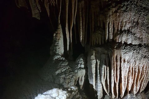 Shore Excursion: Coast, Caves And Wildlife Park - 8 Hour Tour - Hervey Bay Accommodation 8