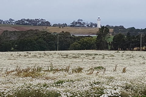 Cruise Ship Excursion: NW Tassie Coastal Explorer - Hervey Bay Accommodation 14
