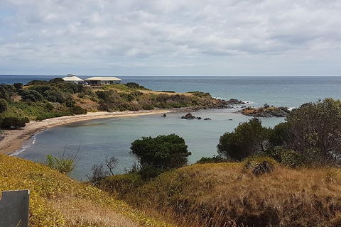 Cruise Ship Excursion: NW Tassie Coastal Explorer - Hervey Bay Accommodation 13