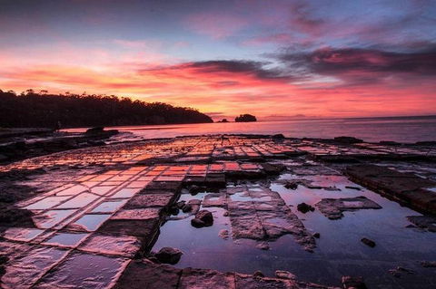 5 Day 4 Night Guided Tasmania Tour - Hervey Bay Accommodation 4