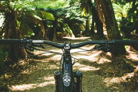 Send IT 4 Day Derby & St Helens MTB Experience - Hervey Bay Accommodation 6