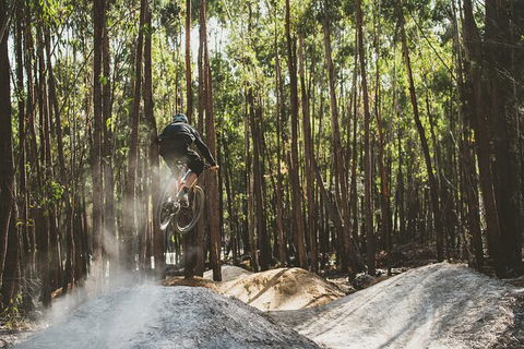 Send IT 4 Day Derby & St Helens MTB Experience - Hervey Bay Accommodation 1