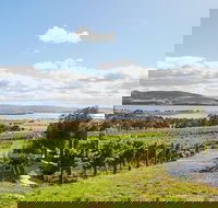 Launceston Wine  Sightseeing Tours - Hervey Bay Accommodation