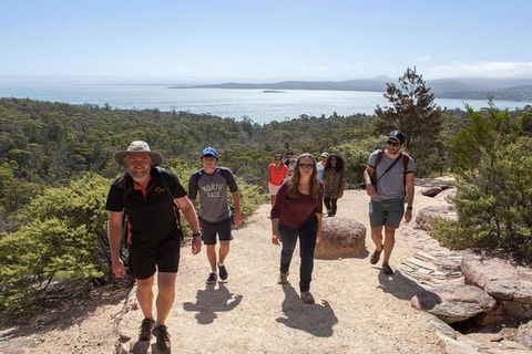 Half-Day Tour To Wineglass Bay From Launceston With Guide - Hervey Bay Accommodation 4