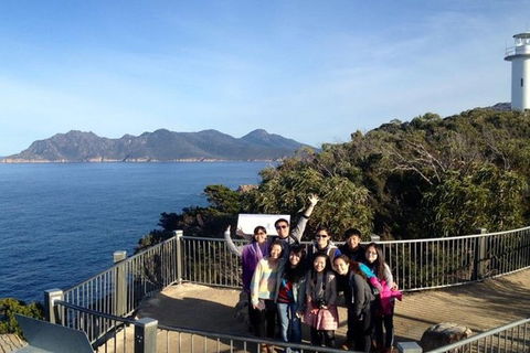 Half-Day Tour To Wineglass Bay From Launceston With Guide - Hervey Bay Accommodation 3