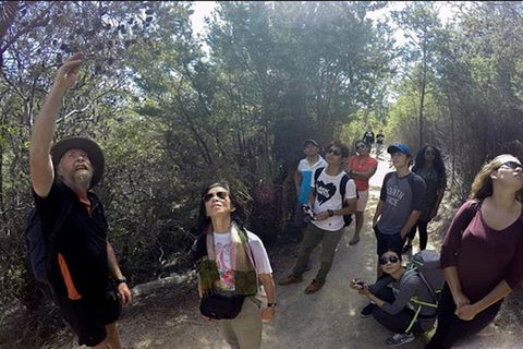 Half-Day Tour To Wineglass Bay From Launceston With Guide - Hervey Bay Accommodation 1