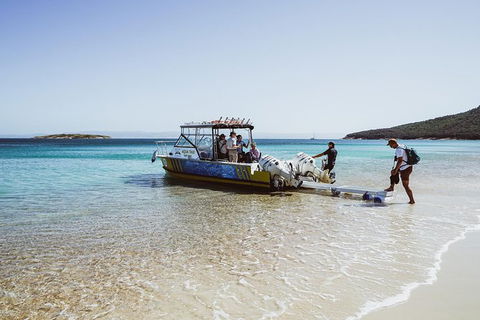 Sea & Explore Wineglass Bay & Freycinet National Park - Cruise & Walk - Hervey Bay Accommodation 3