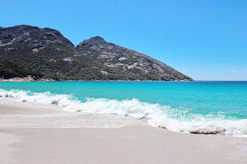 Sea & Explore Wineglass Bay & Freycinet National Park - Cruise & Walk - Hervey Bay Accommodation 4