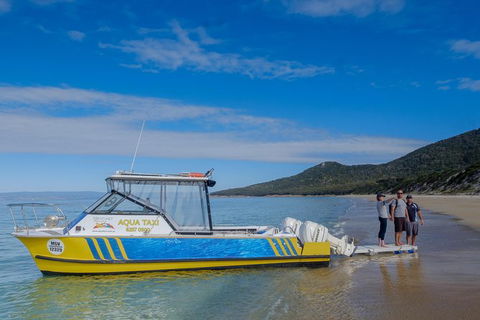 Sea & Explore Wineglass Bay & Freycinet National Park - Cruise & Walk - Hervey Bay Accommodation 7