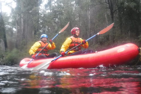 Twin Rivers Winter Adventure - Hervey Bay Accommodation 3