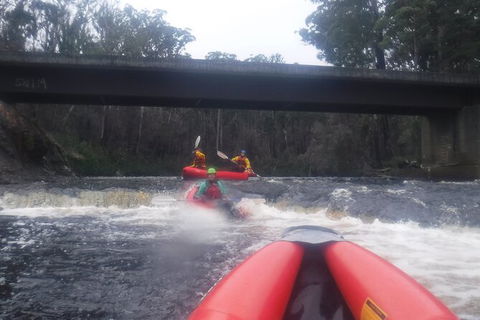 Twin Rivers Winter Adventure - Hervey Bay Accommodation 4