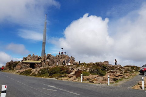 Mt. Wellington Morning Hike + Afternoon Beer & History Walk - Hervey Bay Accommodation 21