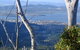 Mt. Wellington Morning Hike + Afternoon Beer & History Walk - thumb 10