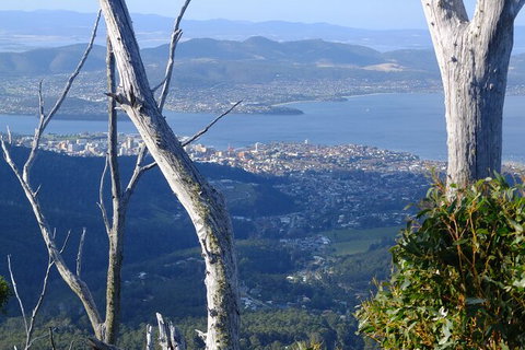 Mt. Wellington Morning Hike + Afternoon Beer & History Walk - Hervey Bay Accommodation 10