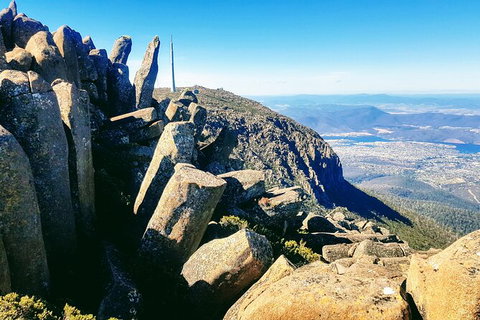 Mt. Wellington Morning Hike + Afternoon Beer & History Walk - Hervey Bay Accommodation 11