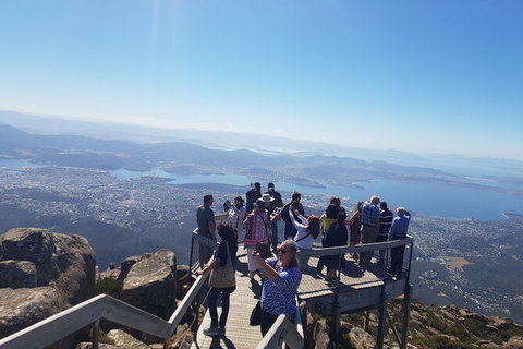 Mt. Wellington Morning Hike + Afternoon Beer & History Walk - Hervey Bay Accommodation 2