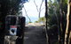 Mt. Wellington Morning Hike + Afternoon Beer & History Walk - thumb 14