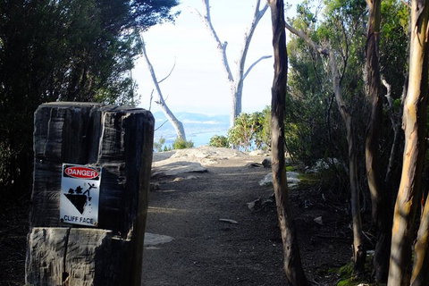 Mt. Wellington Morning Hike + Afternoon Beer & History Walk - Hervey Bay Accommodation 14