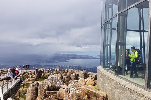 Mt. Wellington Morning Hike + Afternoon Beer & History Walk - Hervey Bay Accommodation 12