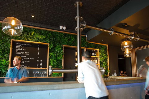 Mt. Wellington Morning Hike + Afternoon Beer & History Walk - Hervey Bay Accommodation 15