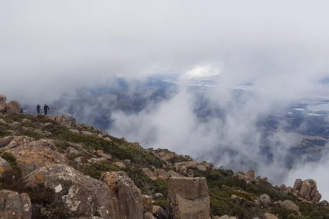 Mt. Wellington Morning Hike + Afternoon Beer & History Walk - Hervey Bay Accommodation 18
