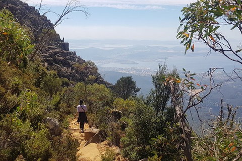 Mt. Wellington Morning Hike + Afternoon Beer & History Walk - Hervey Bay Accommodation 1