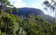 Mt. Wellington Morning Hike + Afternoon Beer & History Walk - thumb 4
